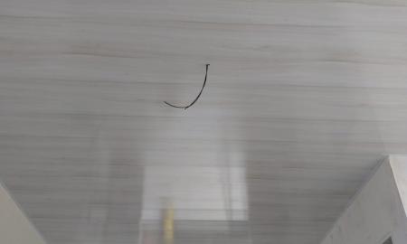 					    						    						    						    						    						  	Teto Vinílico Revid Sintra brilho 250mm x 10mm .
					  	
					  	
					  	
					  	
					  	